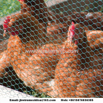 Hexagonal Mesh Chicken Cage House